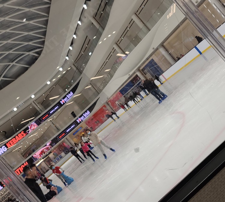 the-rink-photo